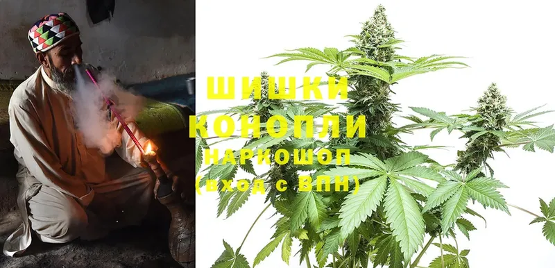 Бошки Шишки Ganja  Ртищево 